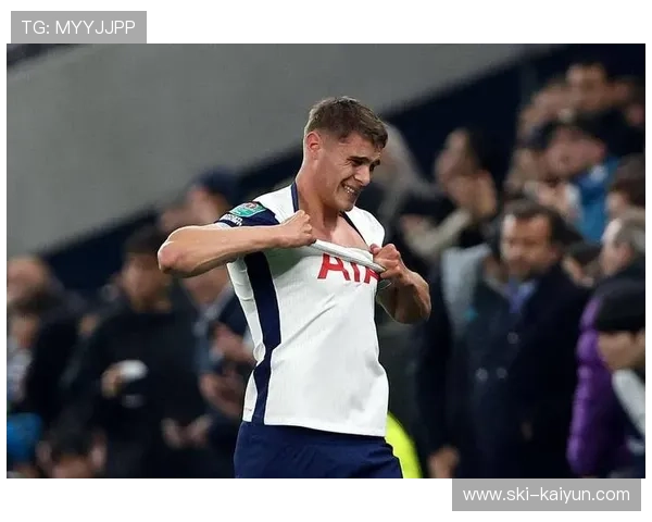 范德芬折射破门，热刺幸运领先桑德兰